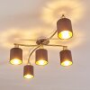 Glane Lampa Sufitowa Nikiel matowy, 5-punktowe