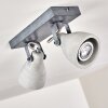Lomma Lampa Sufitowa Szary, 2-punktowe