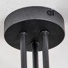 Cabalonga Lampa Sufitowa Czarny, 3-punktowe