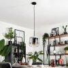 Lauden Lampa Wisząca Szkło 25cm Chrom, Przezroczysty, Przydymiony, 1-punktowy
