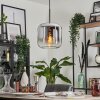 Lauden Lampa Wisząca Szkło 25cm Chrom, Przezroczysty, Przydymiony, 1-punktowy