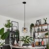 Lauden Lampa Wisząca Szkło 20cm Przezroczysty, Przydymiony, 1-punktowy