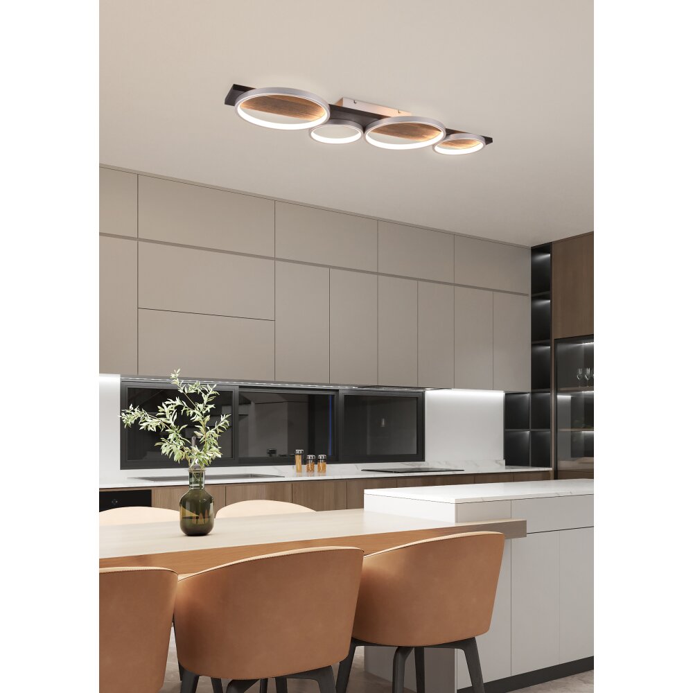 Trio Medera Lampa Sufitowa LED Czarny, Tytan, 1-punktowy main product photo