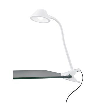 Reality BERRY lampa z klipsem LED Biały, 1-punktowy
