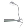 Reality BERRY lampa z klipsem LED Tytan, 1-punktowy