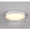 Reality Felis Lampa Sufitowa LED Biały, 1-punktowy, Zdalne sterowanie