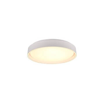 Reality Felis Lampa Sufitowa LED Biały, 1-punktowy, Zdalne sterowanie