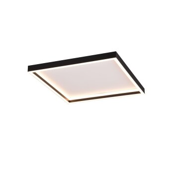 Reality Rotonda Lampa Sufitowa LED Czarny, 1-punktowy