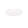Reality SCOTT Lampa Sufitowa LED Biały, 1-punktowy, Zdalne sterowanie