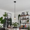 Lauden Lampa Wisząca - Szkło Przezroczysty, 1-punktowy
