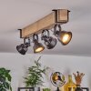 Safari Lampa Sufitowa Ecru, Czarny, 4-punktowe