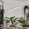 Manlleu Lampa Wisząca Chrom, 1-punktowy