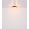 Globo HOLLSY Lampa Wisząca Czarny, 4-punktowe