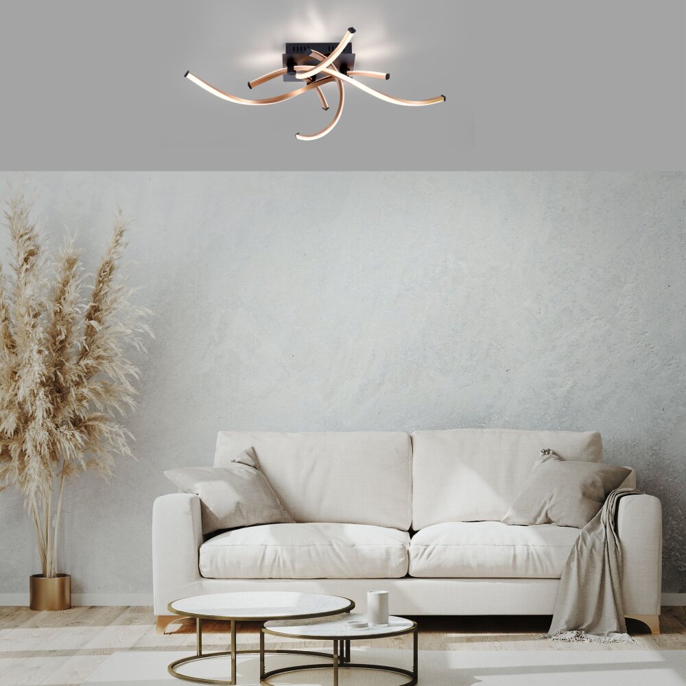 Paul Neuhaus POLINA Lampa Sufitowa LED Czarny, 1-punktowy main product photo