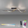 Paul Neuhaus Q-SWING Lampa Sufitowa LED Antracytowy, Złoty, 1-punktowy, Zdalne sterowanie