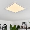 Hotinhas Lampa Sufitowa LED Biały, 1-punktowy, Zdalne sterowanie, Zmieniacz kolorów