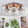 Koyoto Lampa Sufitowa - Szkło Ecru, Czarny, 4-punktowe
