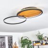 Cardozo Lampa Sufitowa LED Ecru, Czarny, 1-punktowy