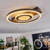 Taboneira Lampa Sufitowa LED Czarny, 1-punktowy