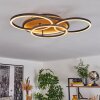 Cardozo Lampa Sufitowa LED Ecru, Czarny, 1-punktowy
