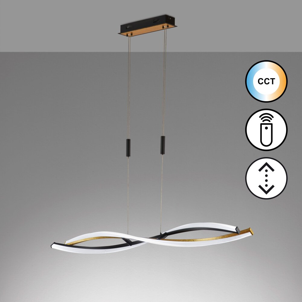 Fischer & Honsel Torcido Lampa Wisząca LED Czarny, 1-punktowy, Zdalne sterowanie main product photo