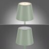 Leuchten-Direkt EURIA Lampa stołowa LED Zielony, 1-punktowy