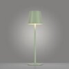 Leuchten-Direkt EURIA Lampa stołowa LED Zielony, 1-punktowy