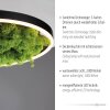 JUST LIGHT GERDA RITUS Lampa Sufitowa LED czarny, 1-punktowy