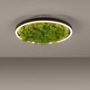 JUST LIGHT GERDA RITUS Lampa Sufitowa LED czarny, 1-punktowy