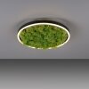 JUST LIGHT GERDA RITUS Lampa Sufitowa LED czarny, 1-punktowy