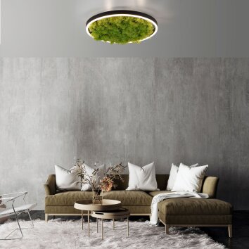JUST LIGHT GERDA RITUS Lampa Sufitowa LED czarny, 1-punktowy