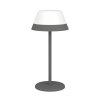 Eglo MEGGIANO Lampa stołowa LED Szary, 2-punktowe