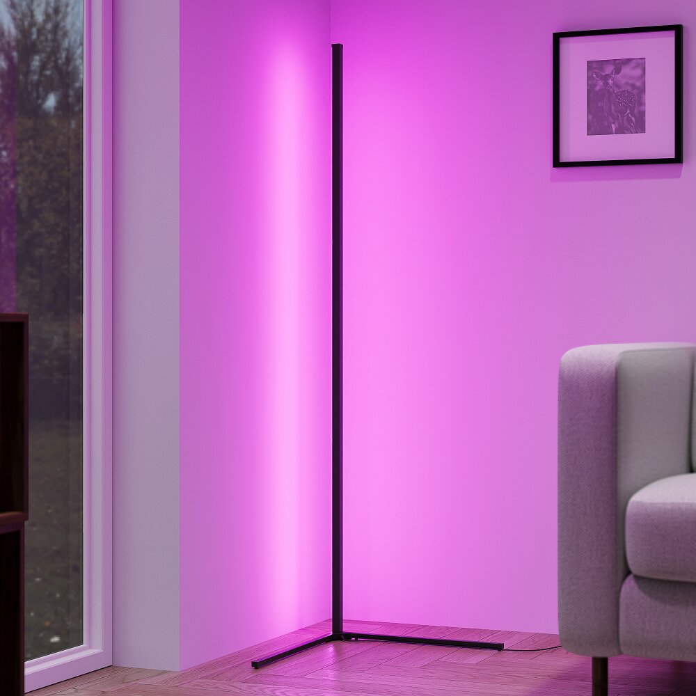 Reality LEVEL Lampa Stojąca LED Czarny, 1-punktowy, Zdalne sterowanie, Zmieniacz kolorów main product photo
