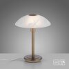 Paul Neuhaus ENOVA lampka nocna LED Stary mosiądz, 1-punktowy