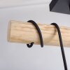 JUST LIGHT GERDA TRIBU Lampa Sufitowa kolory naturalne, czarny, 2-punktowe