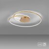 Paul Neuhaus NASTRO Lampa Sufitowa LED Złoty, 1-punktowy