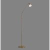 Paul Neuhaus PINO Lampa Stojąca LED Stary mosiądz, 1-punktowy