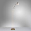 Paul Neuhaus PINO Lampa Stojąca LED Stary mosiądz, 1-punktowy