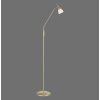 Paul Neuhaus PINO Lampa Stojąca LED Mosiądz, 1-punktowy