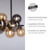 Paul Neuhaus POPSICLE Lampa Sufitowa LED Czarny, 10-punktowe