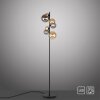 Paul Neuhaus POPSICLE Lampa Stojąca LED Czarny, 7-punktowe