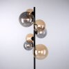 Paul Neuhaus POPSICLE Lampa Stojąca LED Czarny, 7-punktowe