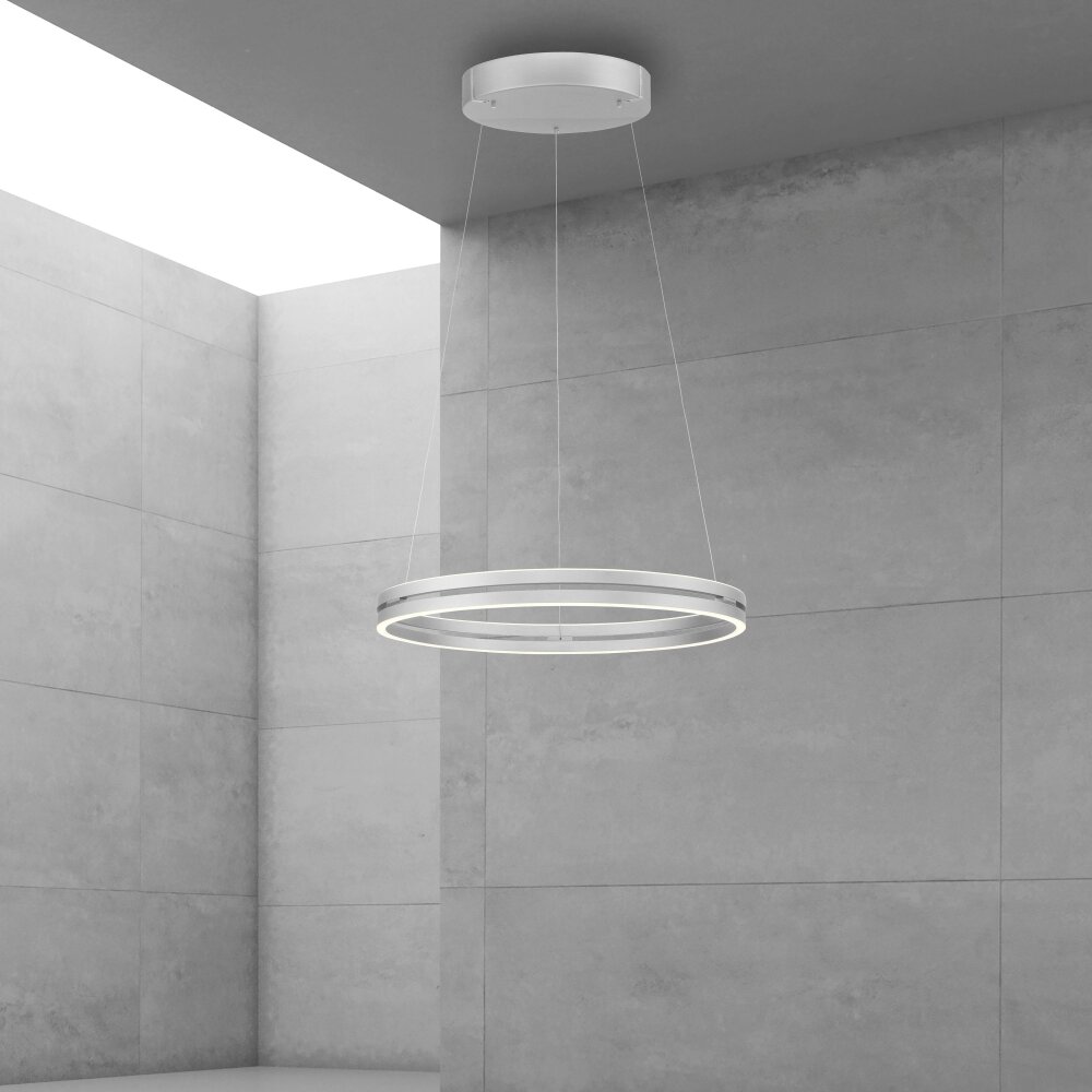 Paul Neuhaus PURE E-LOOP Lampa Wisząca LED Srebrny, 2-punktowe, Zdalne sterowanie main product photo