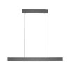Paul Neuhaus PURE E-MOTION Lampa Wisząca LED Szary, 1-punktowy, Zdalne sterowanie