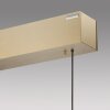 Paul Neuhaus PURE E-MOTION Lampa Wisząca LED Złoty, 1-punktowy, Zdalne sterowanie