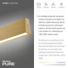 Paul Neuhaus PURE E-MOTION Lampa Wisząca LED Złoty, 1-punktowy, Zdalne sterowanie