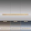 Paul Neuhaus PURE E-MOTION Lampa Wisząca LED Złoty, 1-punktowy, Zdalne sterowanie