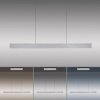 Paul Neuhaus PURE E-MOTION Lampa Wisząca LED Srebrny, 1-punktowy, Zdalne sterowanie