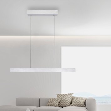 Paul Neuhaus PURE E-MOTION Lampa Wisząca LED Srebrny, 1-punktowy, Zdalne sterowanie