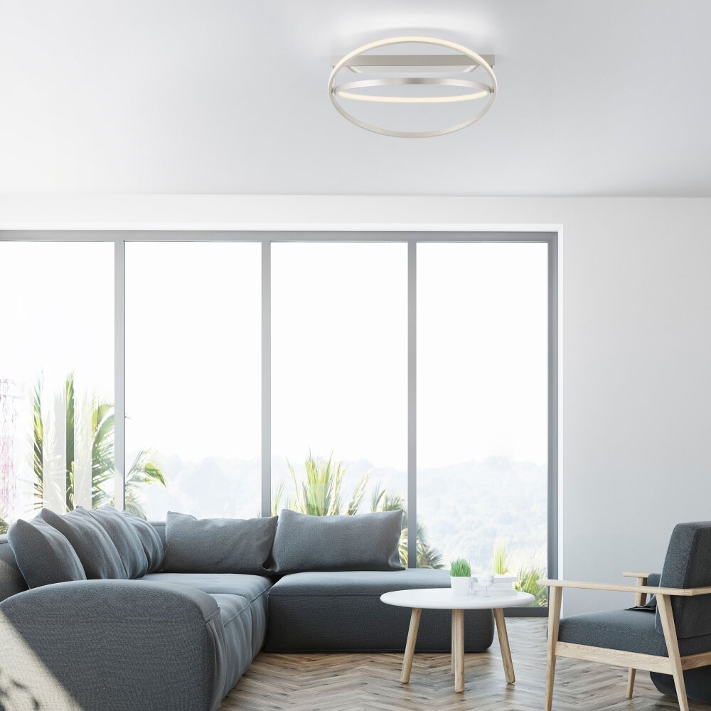 Paul Neuhaus Q-BELUGA Lampa Sufitowa LED Srebrny, 1-punktowy, Zdalne sterowanie main product photo